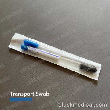 Amies Transport Swab con o senza carbone CE